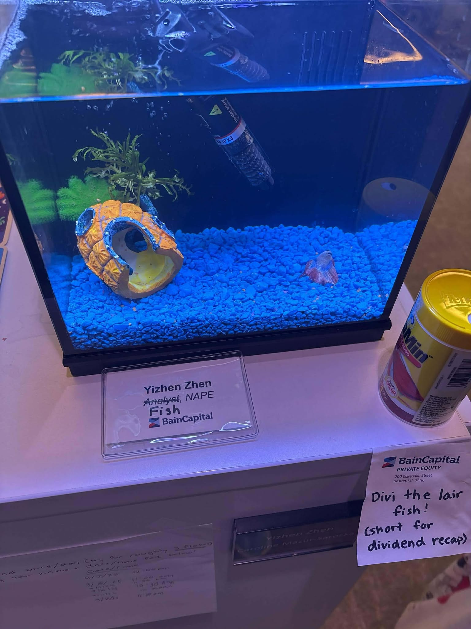 Dividend Recap (Divvy) - The Lair's fish that survived 9 days